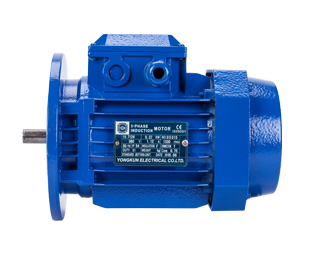 三相鼠籠式異步電動機