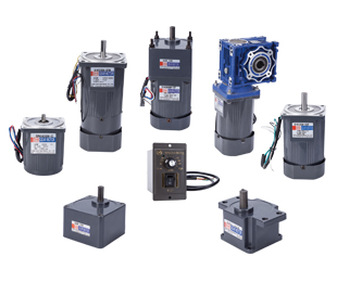 微型調速定速減速電機6W-120W